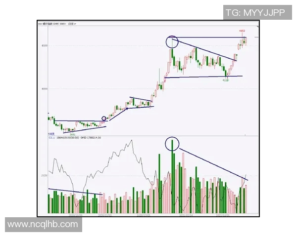 上海极限运动队防守策略解析与热点趋势探讨 上海极限运动队防守策略解析与热点趋势探讨