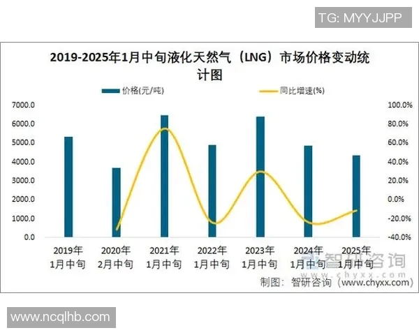 数据分析在液化天然气行业中的个人能力提升与表现研究
